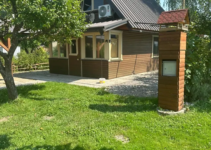 Mocvirski Tulipan