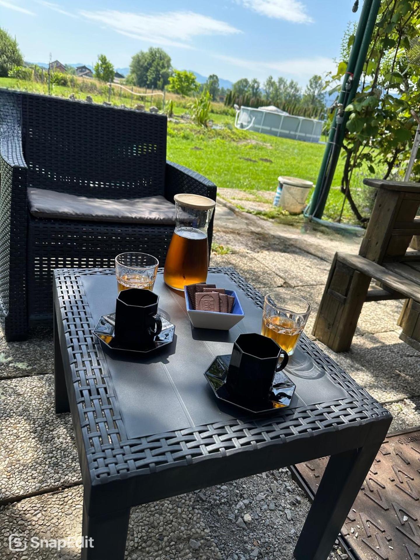 Mocvirski Tulipan Ljubljana
